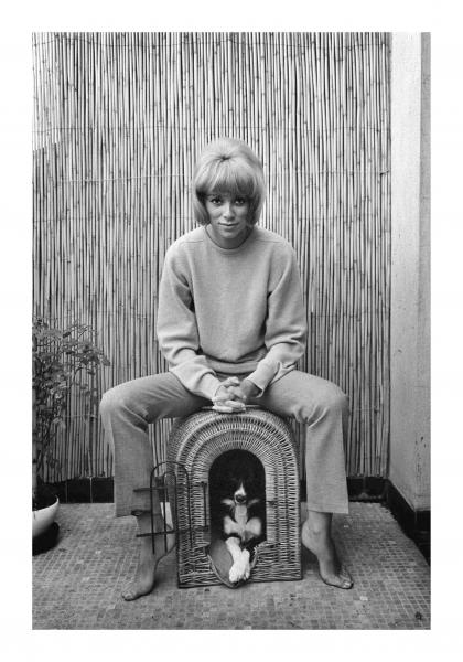 Mireille Darc